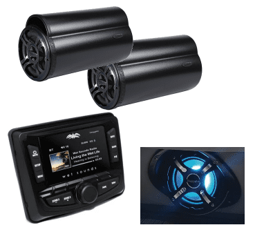 Coach Entertainment System