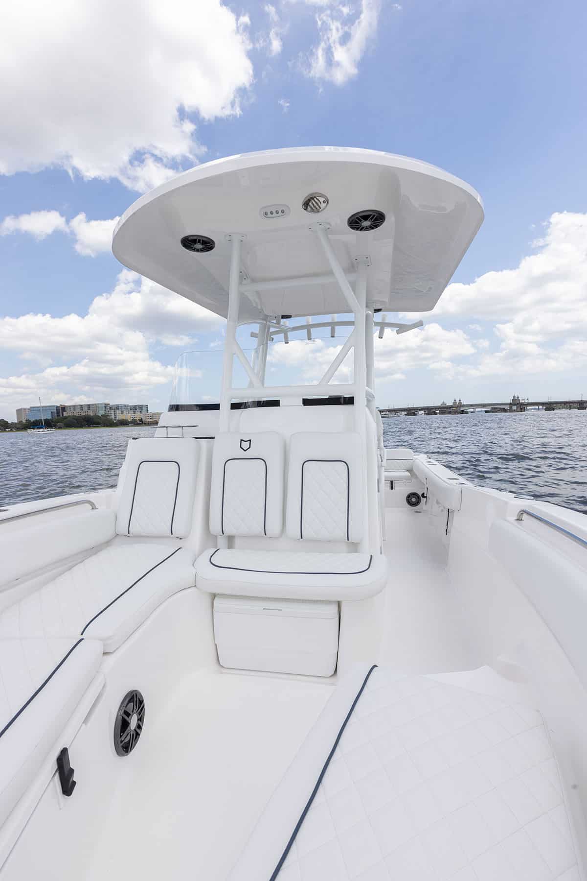 Sea Fox 248 Side Console top